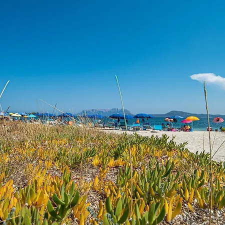 Del Cormorano * オルビア