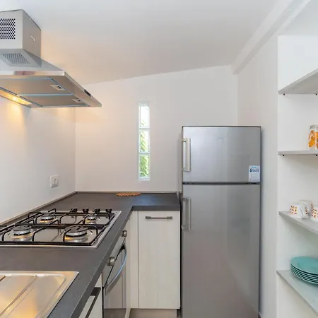 Del Cormorano * オルビア